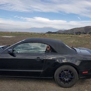 Meet your Posher, Peter